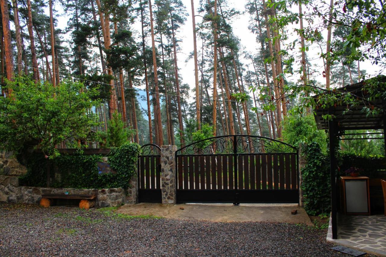 Guest House On Meskheti Borjomi Esterno foto
