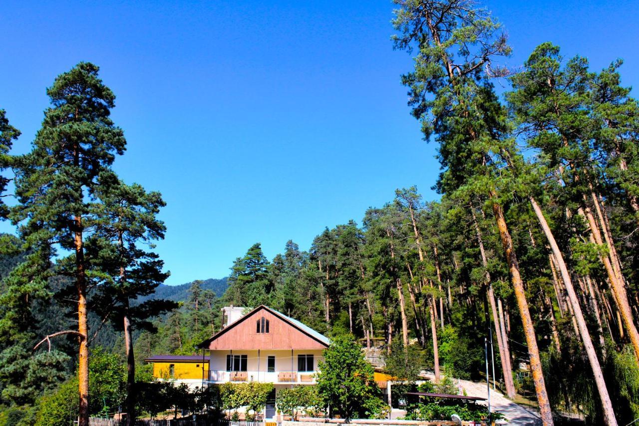 Guest House On Meskheti Borjomi Esterno foto